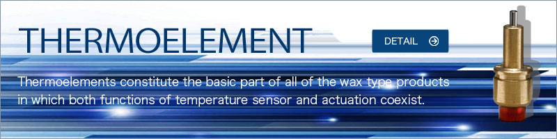 THERMO ELEMENT